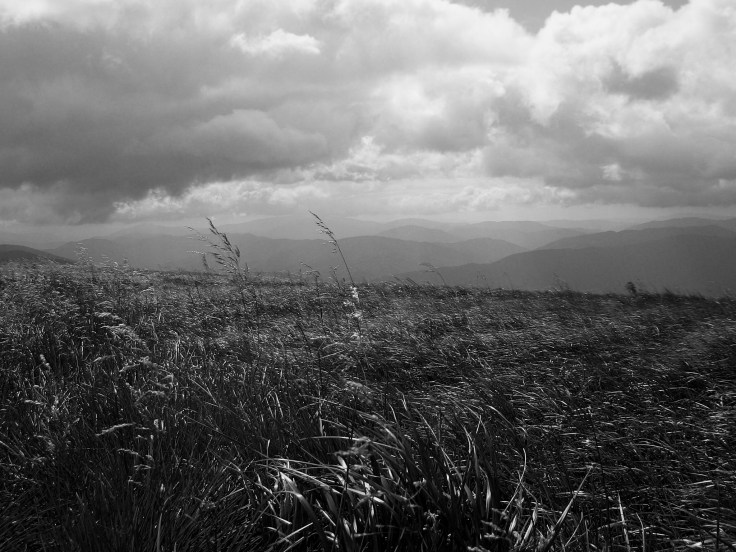 DSCI3628 bw