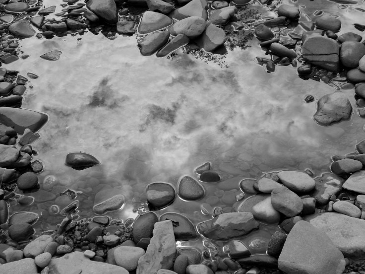 DSCI3701 bw